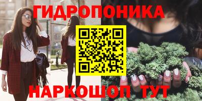 прущие грибы Дубна