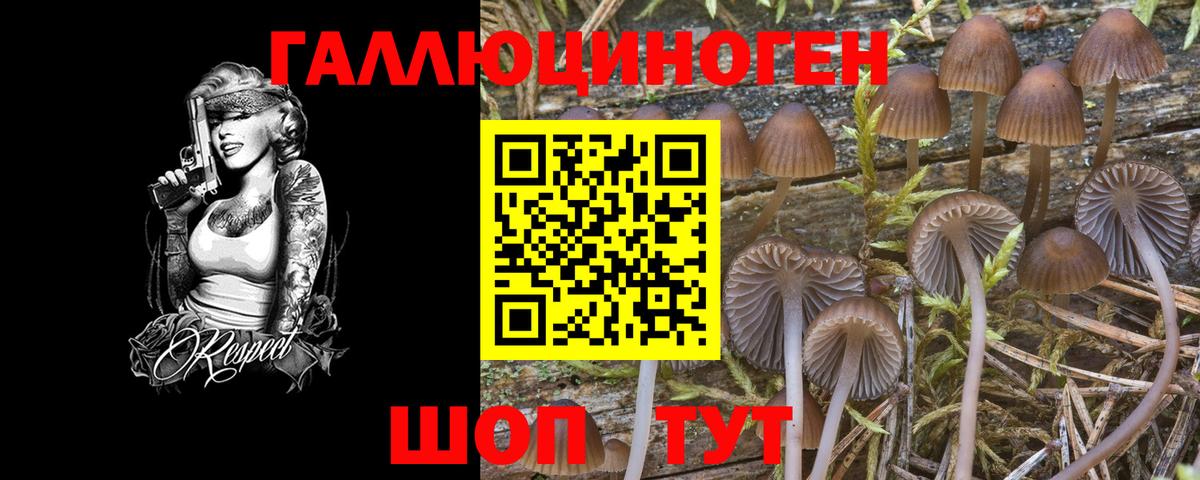 Краснотурьинск  Псилоцибиновые грибы Psilocybine cubensis  Вход с VPN  Галлюциногенные грибы мухоморы 