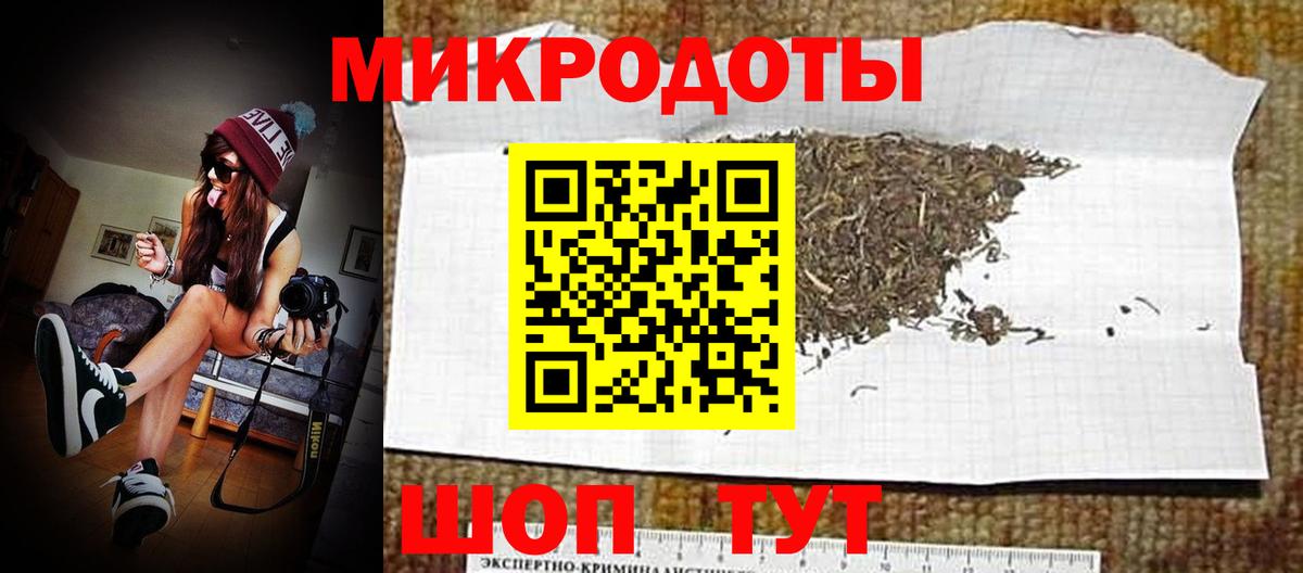 Псилоцибиновые грибы Psilocybe Краснотурьинск